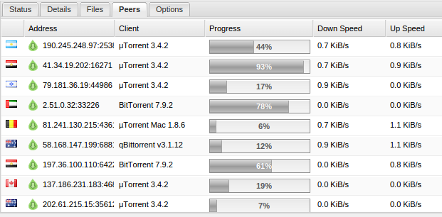 Torrent client showing the IP addresses of everyone connected.